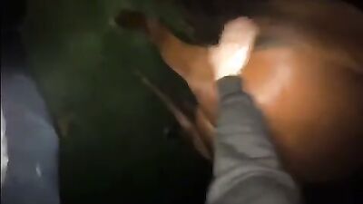 Bestiality porno: dog porn lena hundehammer 2