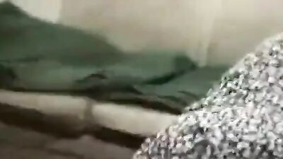 3d zoo porn: bestiality dog sex porn