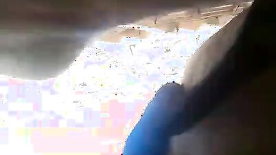 Dog gay porn: veronica selesto zoo porn