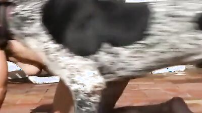 Bestiality manga: art off zoo porn