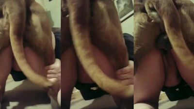 3d dog porn: animal sex izle