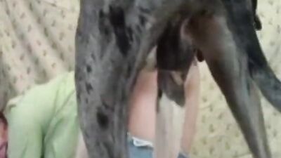 Bestiality zoo: bestiality breeding