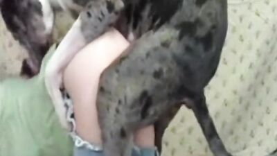 Bestiality zoo: bestiality breeding