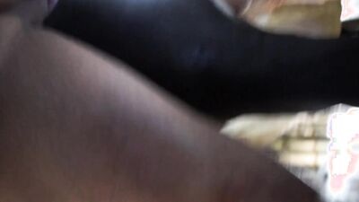 Teen dog sex: dog lick porn