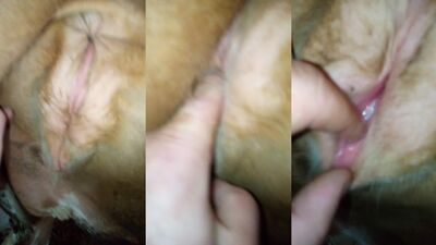 Zoo porn girls: lesbian dog porn