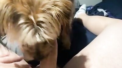 Dogs having sex: bestiality sex game for android