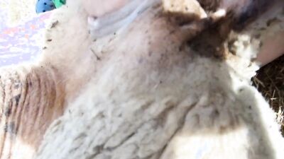 Animal sex: animal dog sex girl