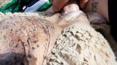Animal sex: animal dog sex girl