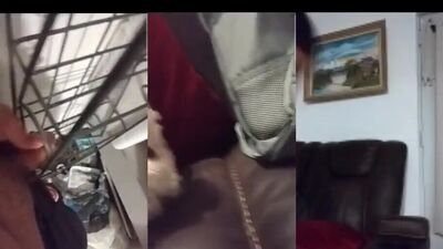 Porn bestiality: dog lick sex