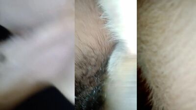 Bestiality sex: zoo porn ru