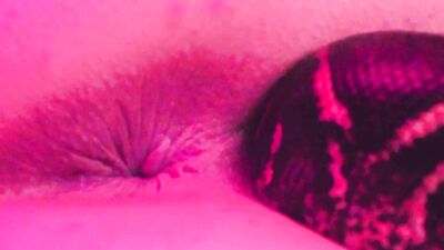Zoo video: zoo porn home luxe
