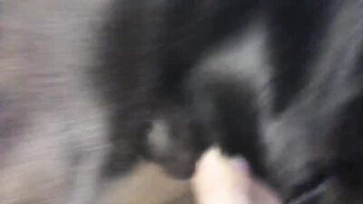 Dog girl anal: bestiality 34