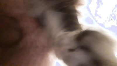 Zoo dog sex: bestiality vids