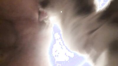Zoo dog sex: bestiality vids