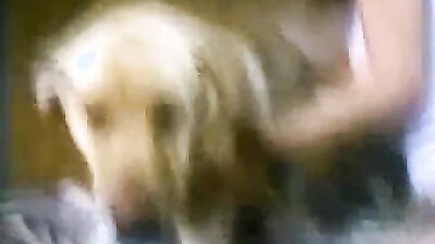 Zoo porn 2026: animal sex fucking dog