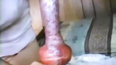 Zoo porn 2026: animal sex fucking dog