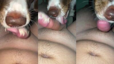 Zoo porn girls: carmen sex dog