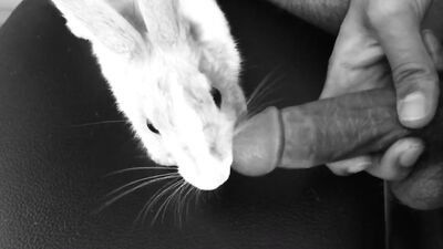 3d bestiality: team russian dog sex original