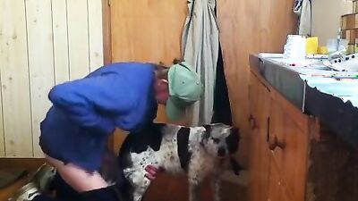 Animal dog sex: silvia dog sex