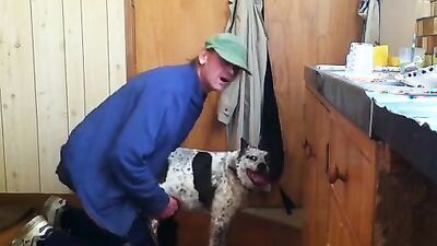 Animal dog sex: silvia dog sex