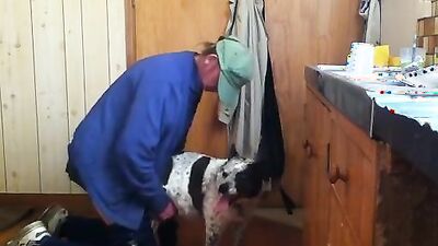Animal dog sex: silvia dog sex