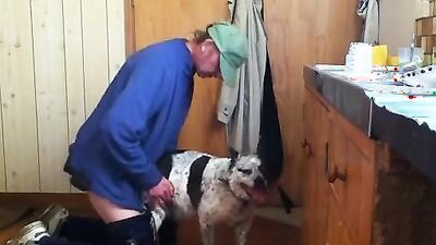 Animal dog sex: silvia dog sex
