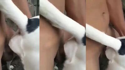 Porn bestiality: real animal porn